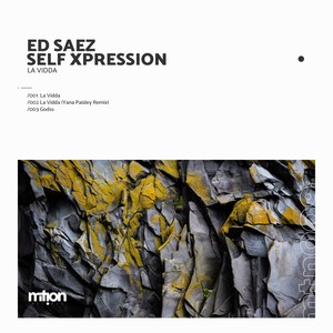 La Vidda (Yana Paisley Remix)