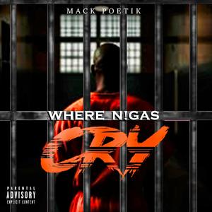 Where N!gas Cry (Explicit)