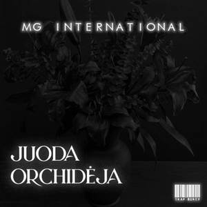 Juoda Orchidėja