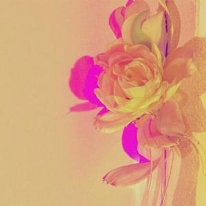 USUALLY DON'T (feat. Alan Zarate)