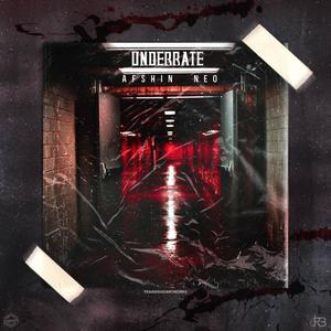 Underrate (feat. Afshin neo) (Explicit)