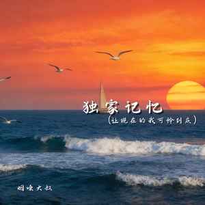 独家记忆（让现在的我可怜到底）