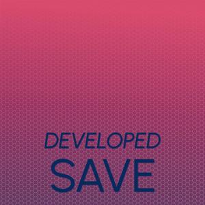 Developed Save