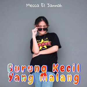 Burung Kecil Yang Malang