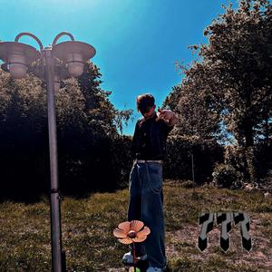 ENGELSZAHL (Explicit)