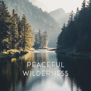 Peaceful Wilderness Sounds