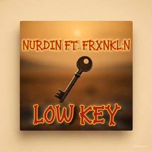 Low Key (feat. Frxnkl:n)