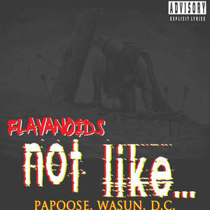 Not Like... (feat. D.C., Wasun & Papoose) [Explicit]