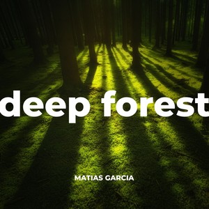 Deep forest