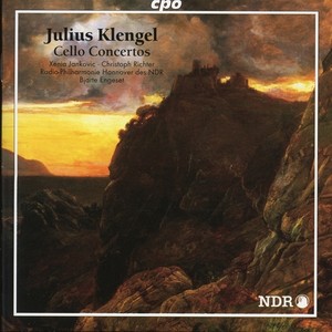 Cello Concerto No. 1 in A Minor, Op. 4 - II. Andante con moto