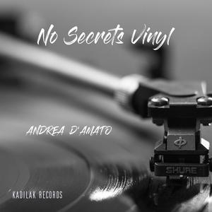 No Secrets Vinyl