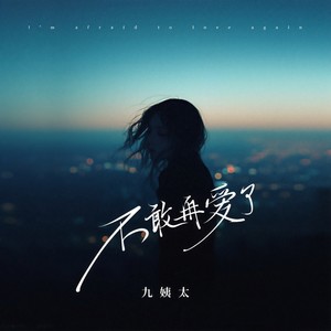 不敢再爱了