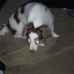 South Dakota Isnt Real