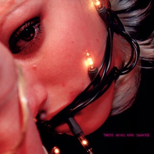 Run It Through The Dog