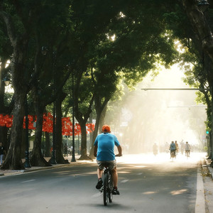 CVP - Before the Sun Fell