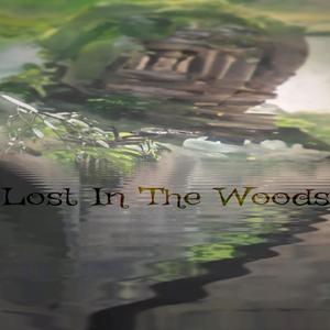 Lost In The Woods