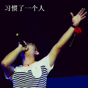 习惯了一个人