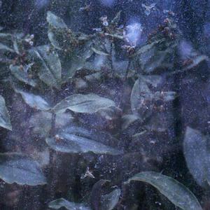 No Reason Ever Was Given