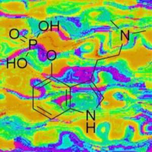 Psilocybin (feat. Greyy 509) (Explicit)