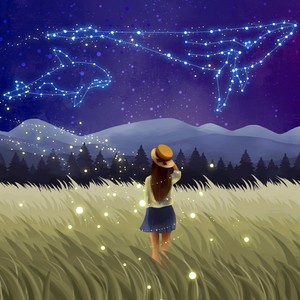 A starry sky without fireflies 没有萤火虫的星空·清新温馨钢琴曲