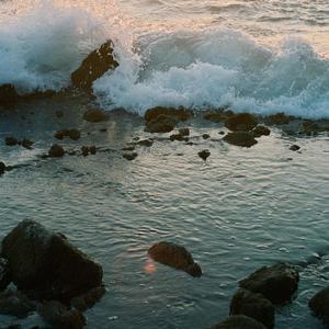 neptune beach