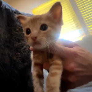 walk2me - casino dealt (feat. Second22nd) (Explicit)