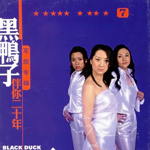 边疆的泉水清又纯封面