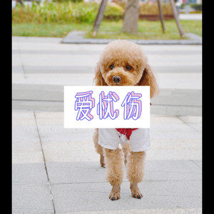 拈花一笑 (恋爱版)