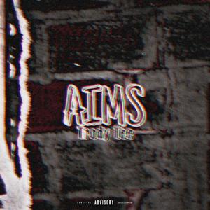 Aims (Explicit)