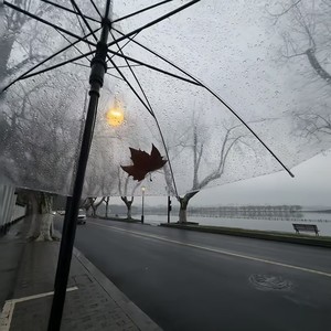 旁观者 - 苦苦追寻的幸福