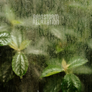 Rainstorm Relaxation