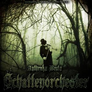 Schattenorchester (Explicit)