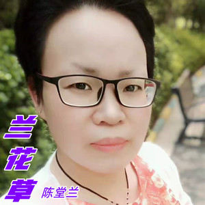 兰花草