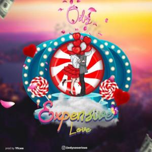 Expensive Love (Explicit)