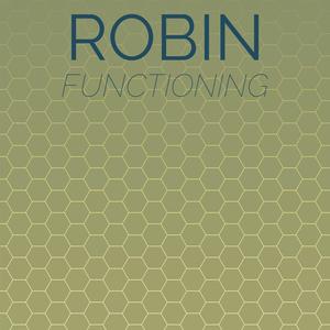 Robin Functioning