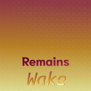 Remains Wake