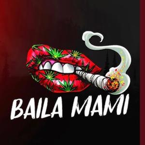 Negro 27 (Mami Bailaa) (Explicit)