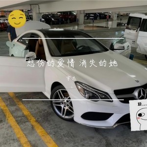 悲伤的爱情 (合唱破碎版)