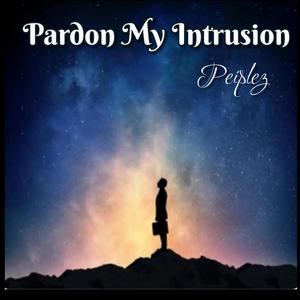 Pardon My Intrusion