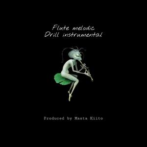 Flute Melodic drill instrumental