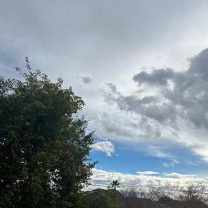 THE DAY I LEAVE (Explicit)