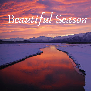 Jeep Ride in the Jungle