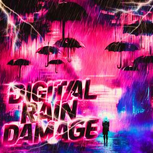 DIGITAL RAIN DAMAGE