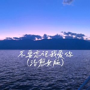 不要忘记我爱你 (治愈女版)