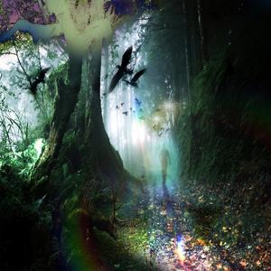 nature (feat. Mike Labyrinth)