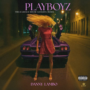 PLAYBOYZ (SCARFACE GANGSTA HOUSE REMIX)
