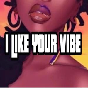 I Like Your Vibe (Instrumental)