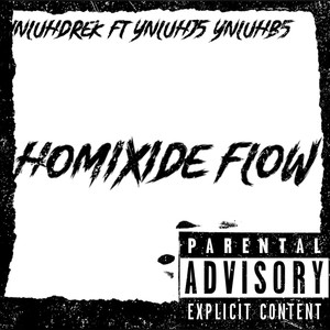 Homixide flow (Explicit)