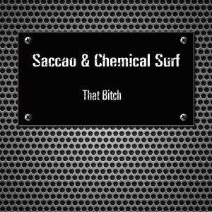 That B**ch (Rafael Cerato Remix)