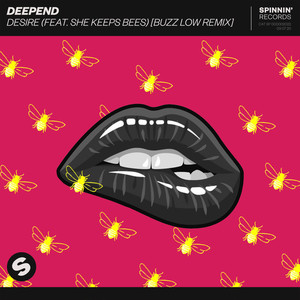 Desire (feat. She Keeps Bees) (Buzz Low Remix|Explicit)